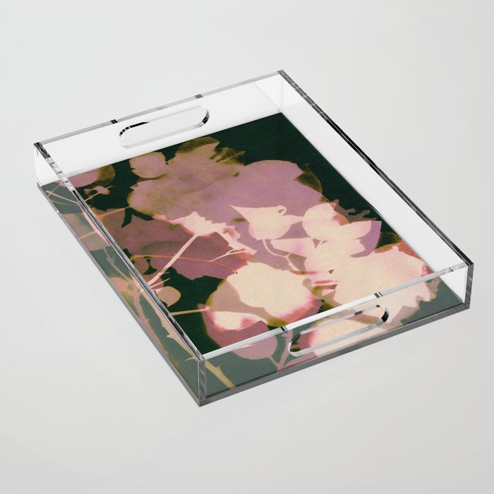 Magic in the Ordinary #6 Acrylic Tray Gallery Image 1