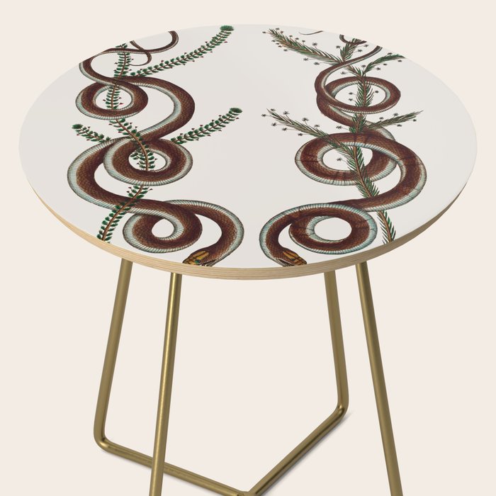Albertus Seba Snakes  Double Spiral Vines  Side Table Gallery Image 2