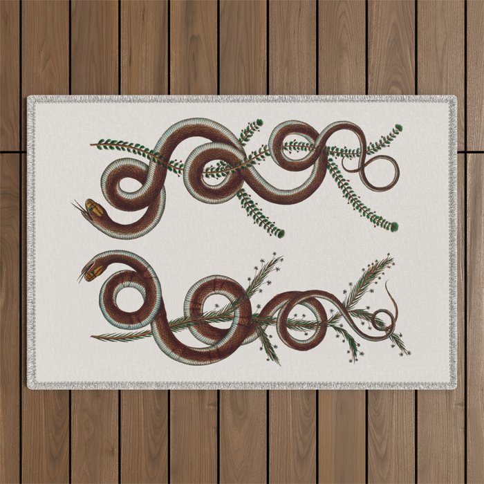 Albertus Seba Snakes  Double Spiral Vines  Outdoor Rug Gallery Image 1