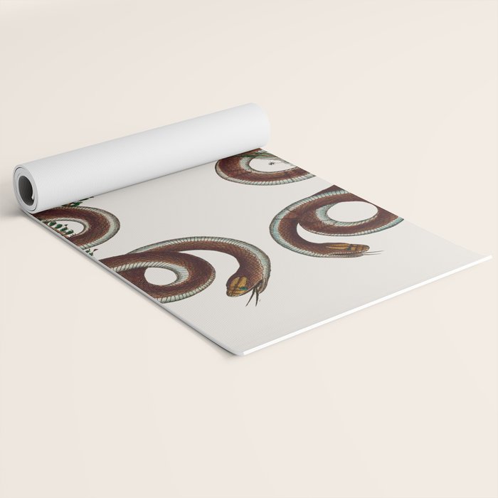 Albertus Seba Snakes  Double Spiral Vines  Yoga Mat Gallery Image 2