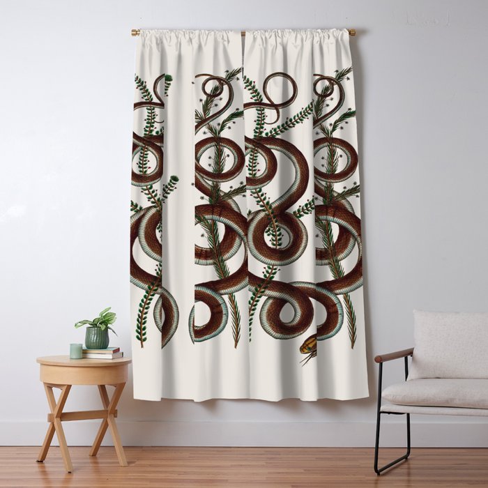 Albertus Seba Snakes  Double Spiral Vines  Window Curtain Gallery Image 5
