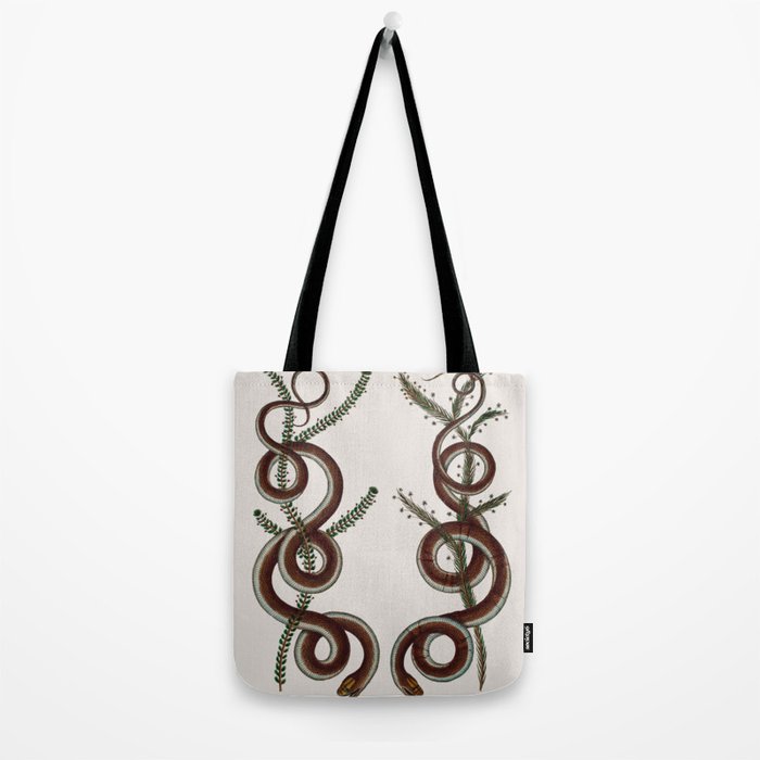 Albertus Seba Snakes  Double Spiral Vines  Tote Bag Gallery Image 2