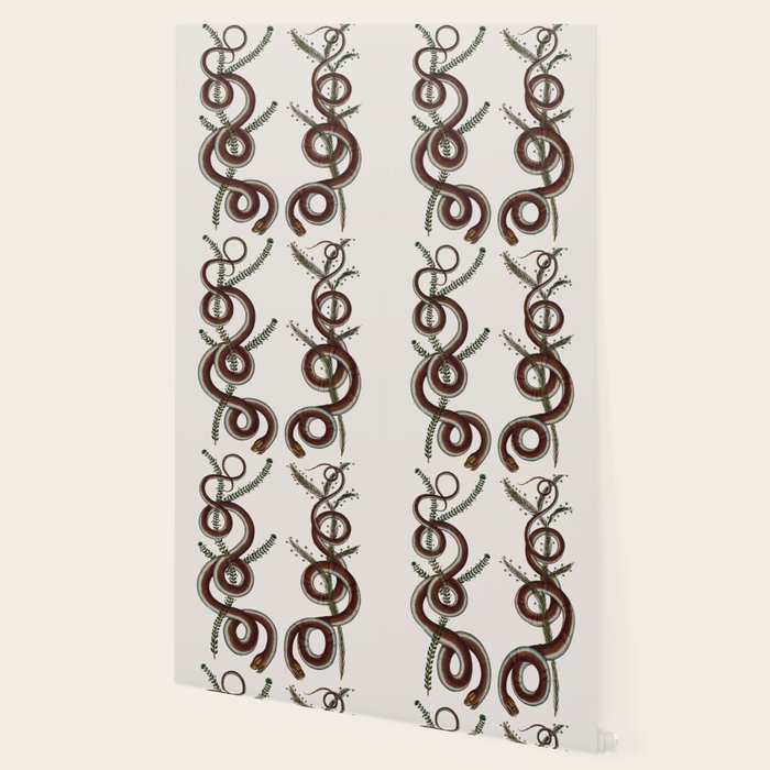 Albertus Seba Snakes  Double Spiral Vines  Wallpaper Gallery Image 2