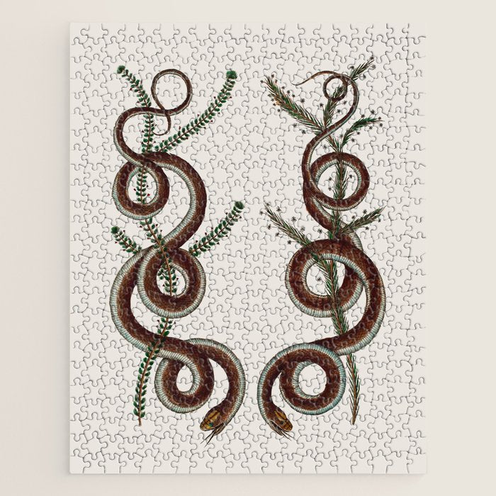 Albertus Seba Snakes  Double Spiral Vines  Jigsaw Puzzle Gallery Image 1