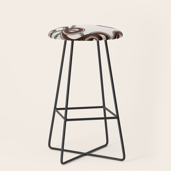 Albertus Seba Snakes  Double Spiral Vines  Stool Gallery Image 1