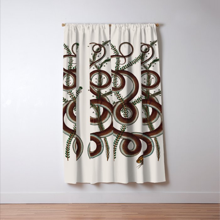 Albertus Seba Snakes  Double Spiral Vines  Window Curtain Gallery Image 3