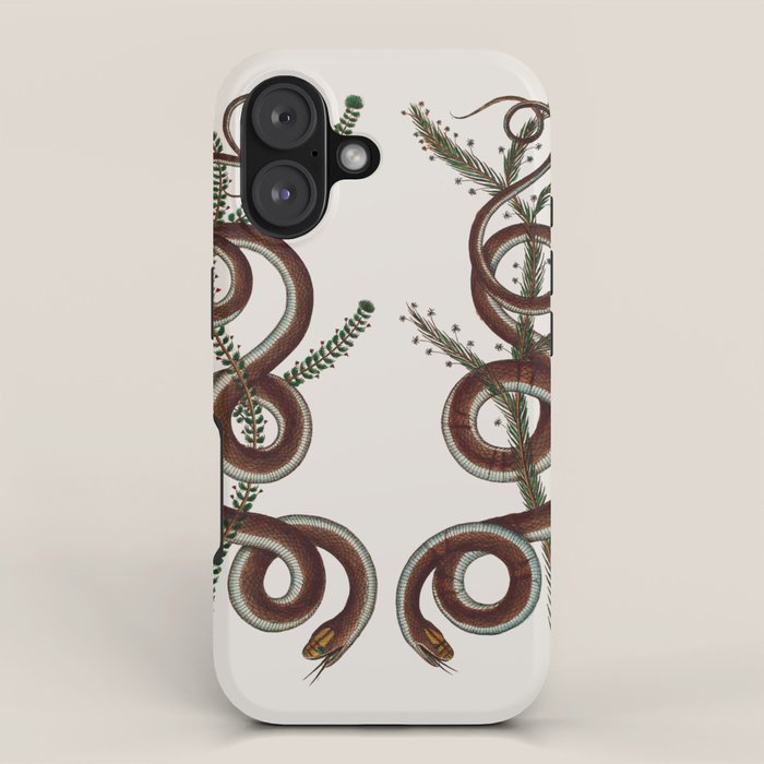 Albertus Seba Snakes  Double Spiral Vines  iPhone Case Gallery Image 1