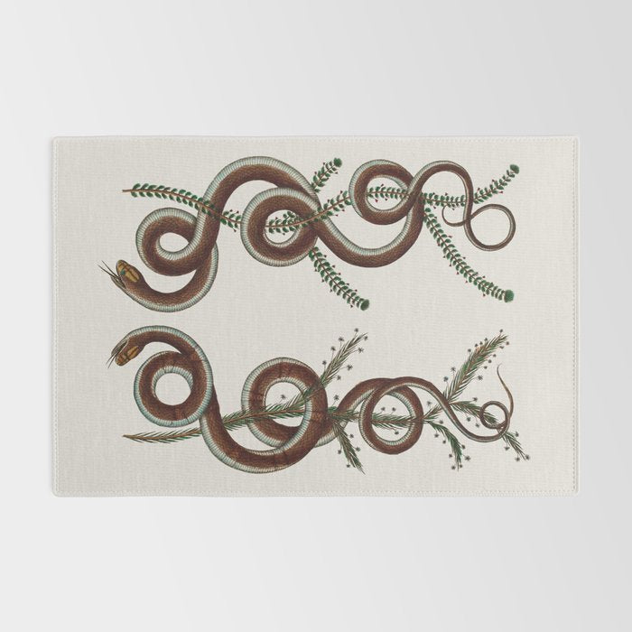 Albertus Seba Snakes  Double Spiral Vines  Rug Gallery Image 2