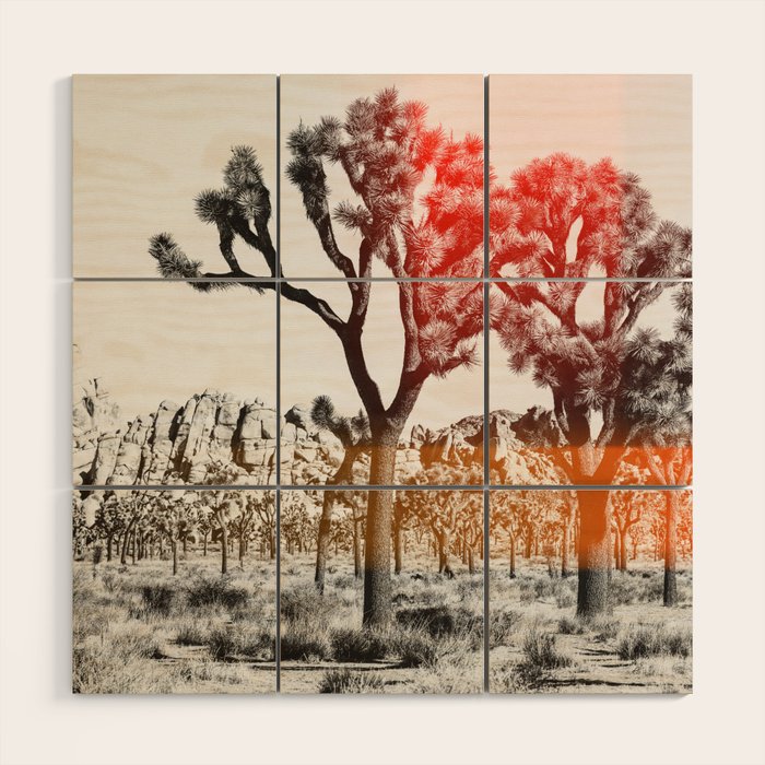 Joshua Tree 3 Wood Wall Art Gallery Image 1