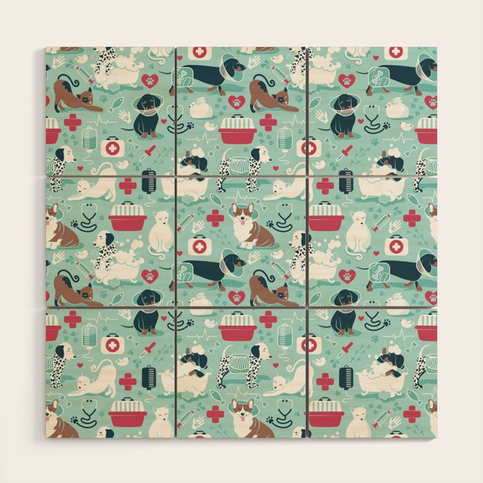 Veterinary medicine, happy and healthy friends // aqua background Wood Wall Art Gallery Image 1