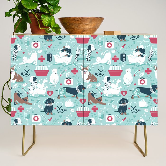 Veterinary medicine, happy and healthy friends // aqua background Credenza Gallery Image 1
