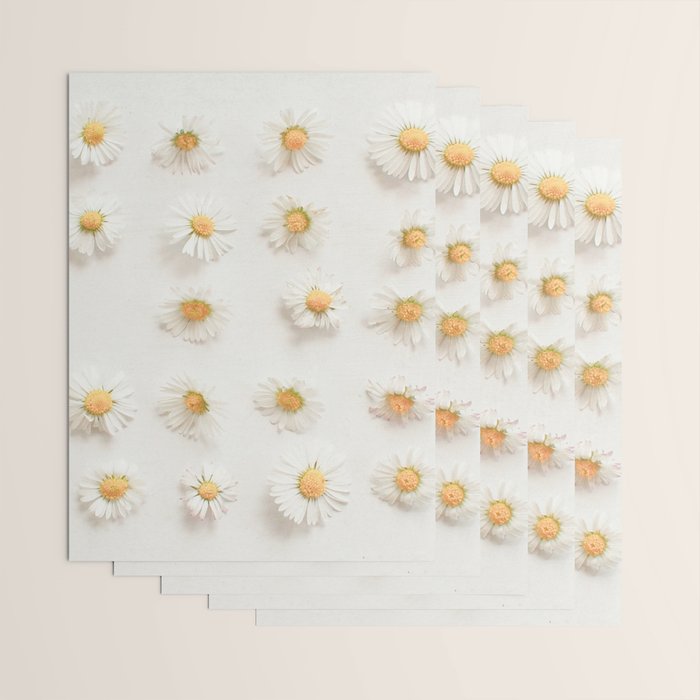 Daisy Collection Wrapping Paper Gallery Image 3