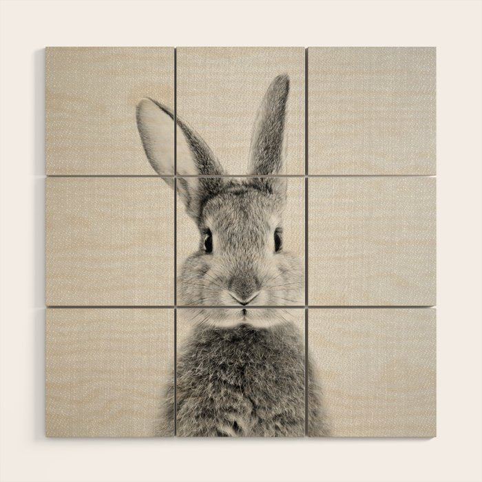 Rabbit - Black & White Wood Wall Art Gallery Image 1