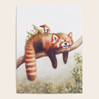 Sleepy Red Panda Poster Gallery Image 4