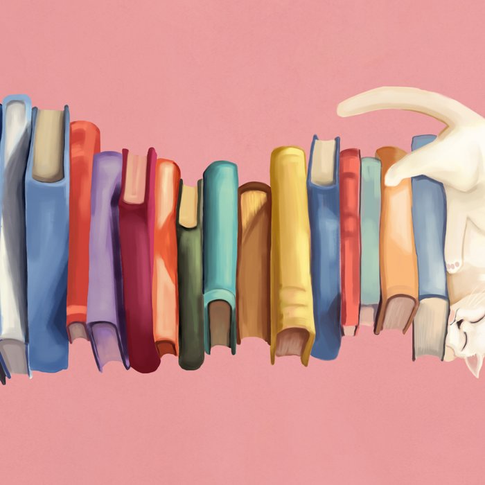 Where the Cat Dreams Coffee Mug Gallery Image 2