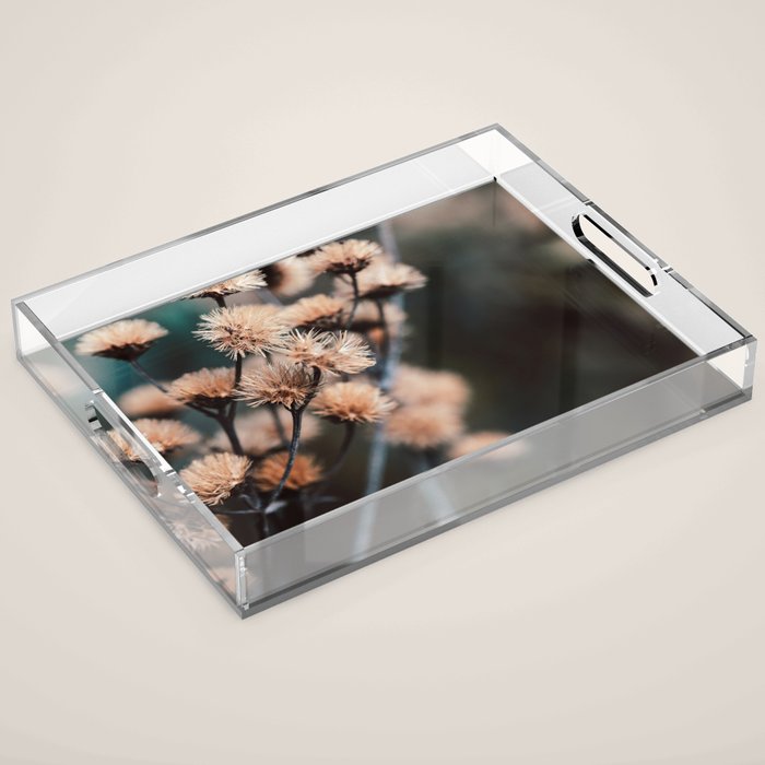 Seeds Of Change #1 Acrylic Tray Gallery Image 1