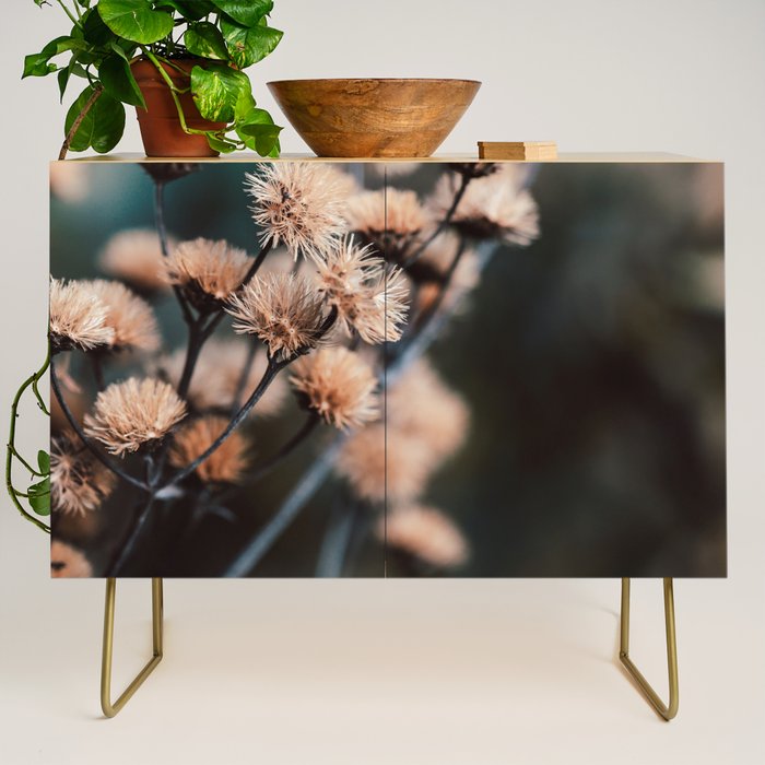 Seeds Of Change #1 Credenza Gallery Image 1