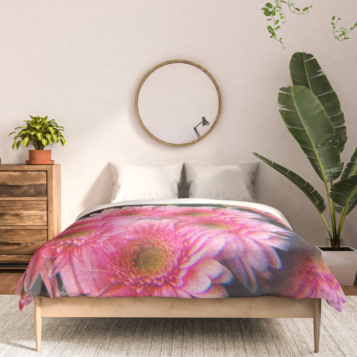 Lindsey Comforter Gallery Image 3