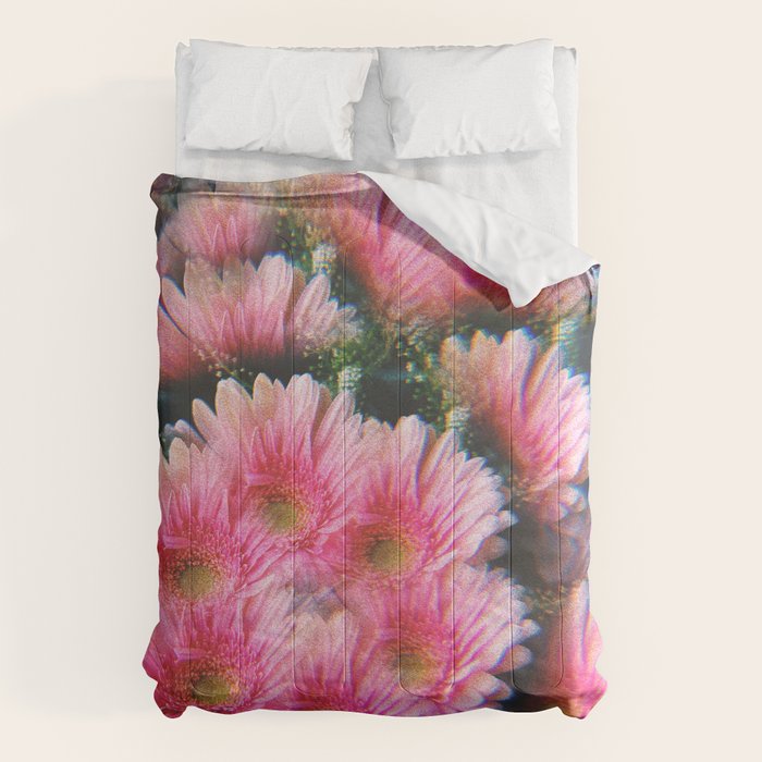 Lindsey Comforter Gallery Image 6