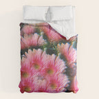 Lindsey Comforter Gallery Image 6