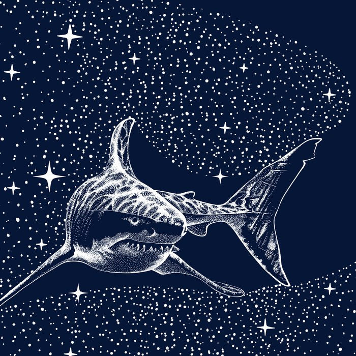 Starry Shark Coffee Mug Gallery Image 2