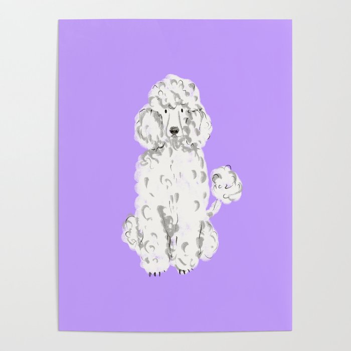 Fashionable white poodle Poster Gallery Image 1