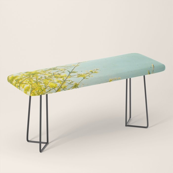 Morning Light Bench Gallery Image 1