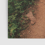 Through the Green Poster Gallery Image 3