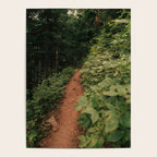 Through the Green Poster Gallery Image 4