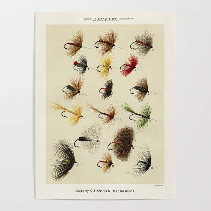 Hackles - Flies - Fly Fishing Lure Poster Gallery Image 1