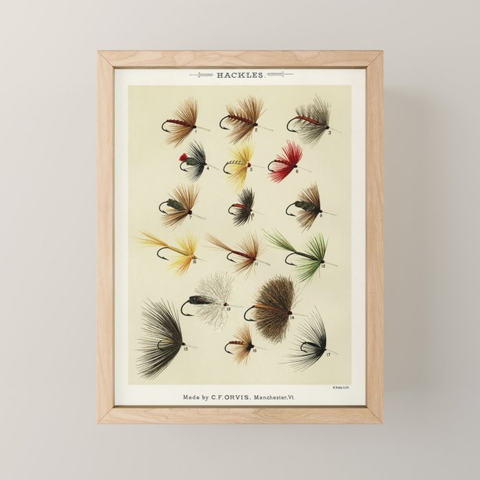 Hackles - Flies - Fly Fishing Lure Mini Art Print Gallery Image 1