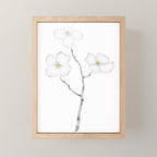 white dogwood flower watercolor Mini Art Print Gallery Image 1