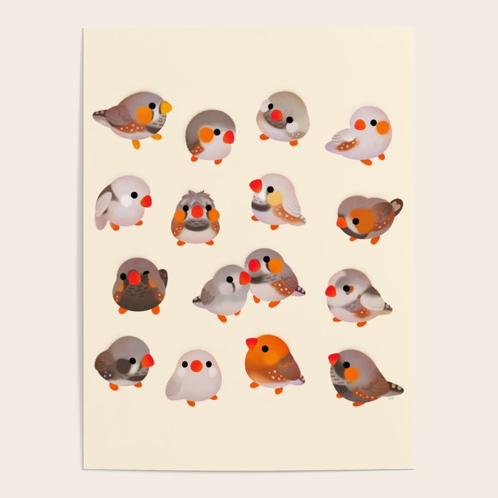 Zebra finch Poster Gallery Image 1