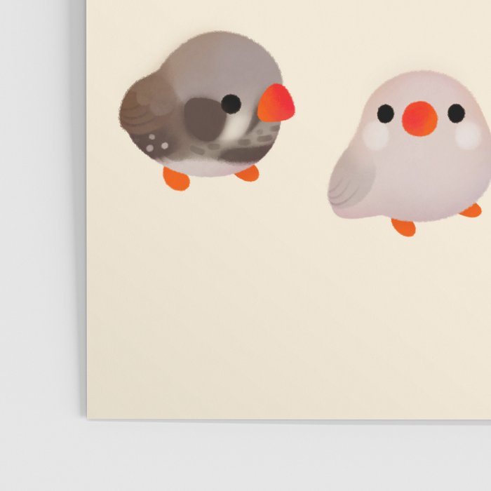 Zebra finch Poster Gallery Image 3
