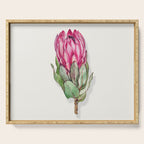 Protea flower painted in watercolor Serving Tray Gallery Image 1