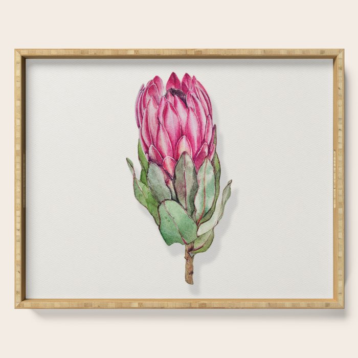 Protea flower painted in watercolor Serving Tray Gallery Image 1