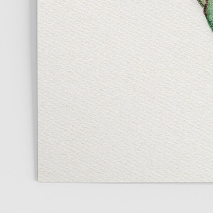 Protea flower painted in watercolor Poster Gallery Image 3