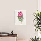 Protea flower painted in watercolor Poster Gallery Image 2
