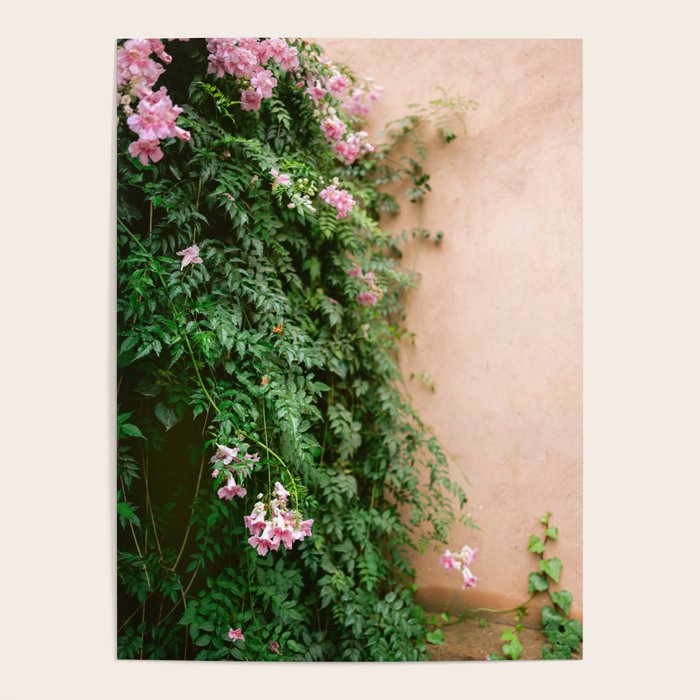 Greens of Morocco | Travel Photography Poster Gallery Image 1