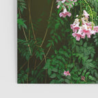 Greens of Morocco | Travel Photography Poster Gallery Image 3