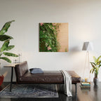 Greens of Morocco | Travel Photography Wood Wall Art Gallery Image 2
