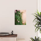 Greens of Morocco | Travel Photography Poster Gallery Image 2