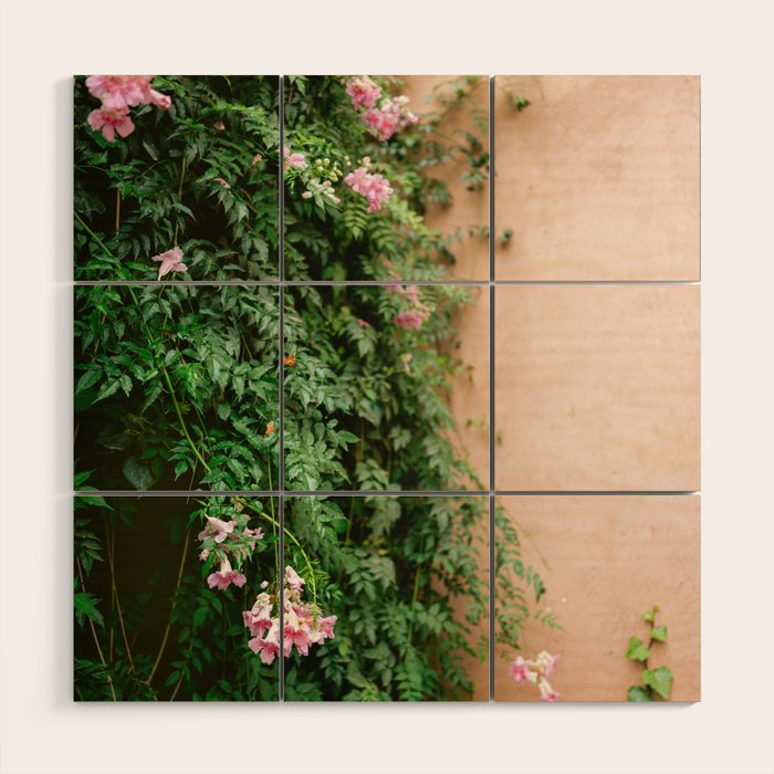 Greens of Morocco | Travel Photography Wood Wall Art Gallery Image 1
