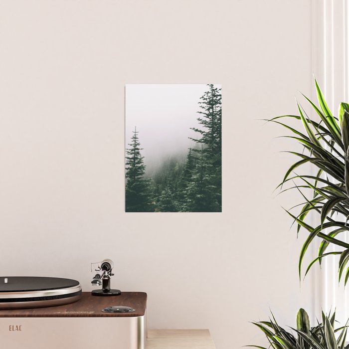 Moody Forest Poster Gallery Image 2