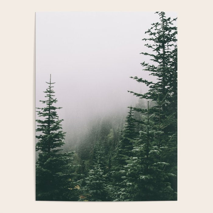 Moody Forest Poster Gallery Image 4