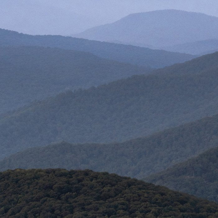 Blue Ridge Parkway IV - Shenandoah National Park Coffee Mug Gallery Image 2