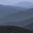 Blue Ridge Parkway IV - Shenandoah National Park Coffee Mug Gallery Image 2