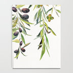 Olive Branch Watercolor  Notebook Gallery Image 4