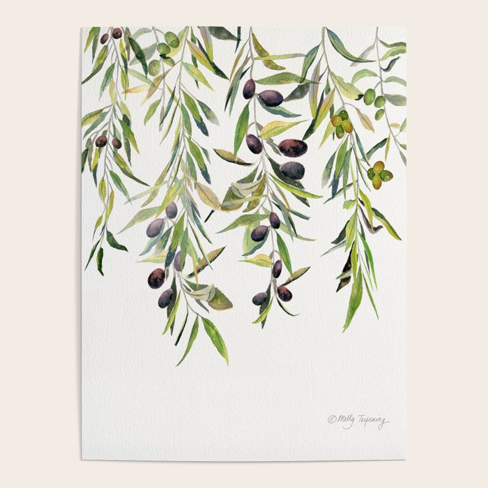Olive Branch Watercolor  Poster Gallery Image 4