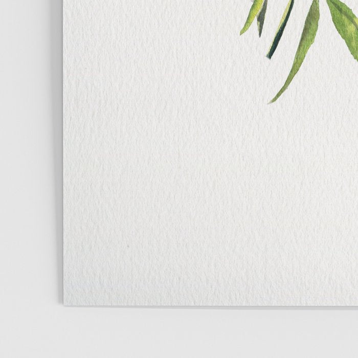 Olive Branch Watercolor  Poster Gallery Image 3